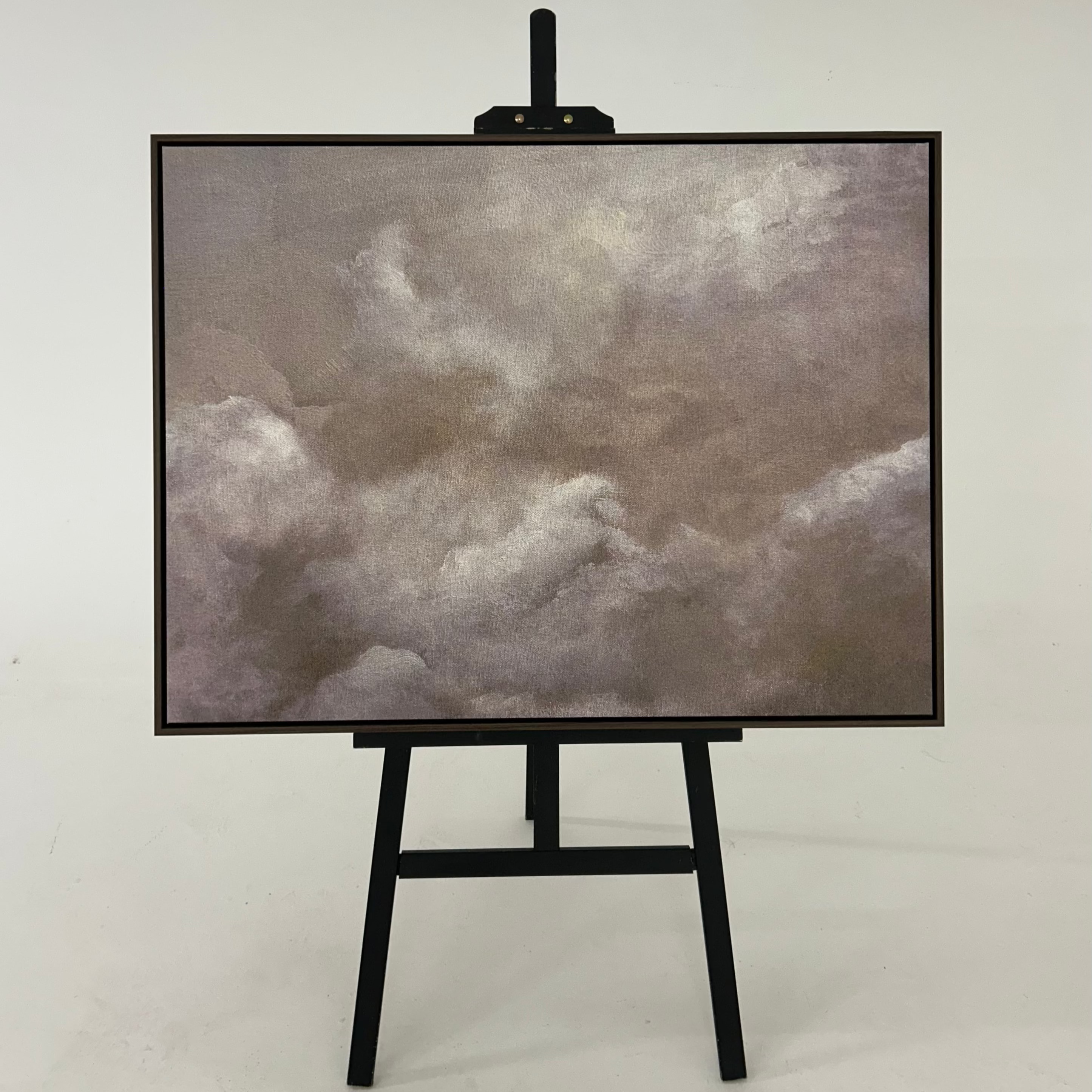 Cloud Framed Printed Canvas