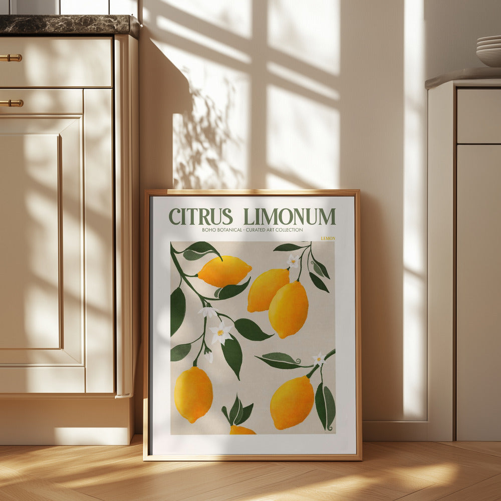 Citrus Limonum - Lemon Print